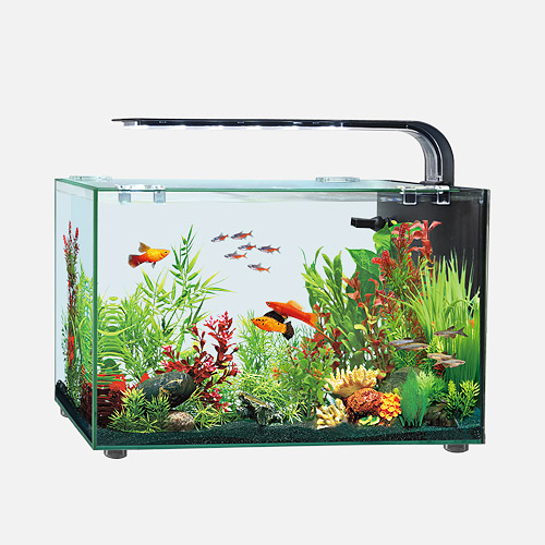 深圳市興日生實業(yè)有限公司 專業(yè)水族箱制造與創(chuàng)新
