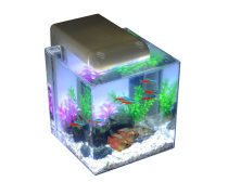水族箱 家居中的一方靈動(dòng)水域，如何打造與維護(hù)