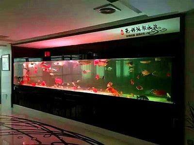合肥水族箱定制與制作指南 打造專(zhuān)屬水下景觀
