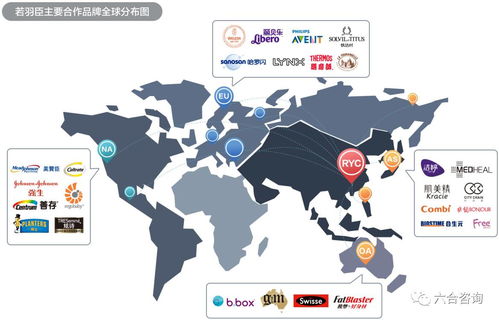 若羽臣擬IPO 以電商綜合服務助力強生、美贊臣等全球優(yōu)質品牌，賦能互聯(lián)網銷售